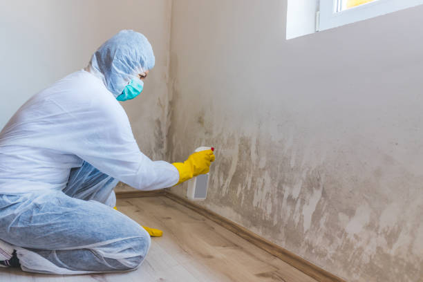 Crawl Space Mold Remediation treatment of floor joists in Dameron